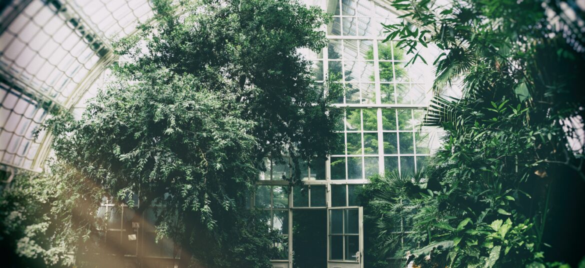 Immeuble écologique du futur : à quoi ressemblera-t-il ?